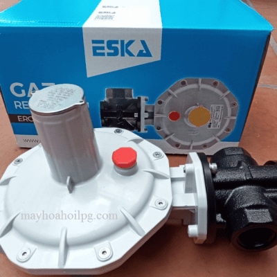 VAN ĐIỀU ÁP ERG-H5 300kg/h